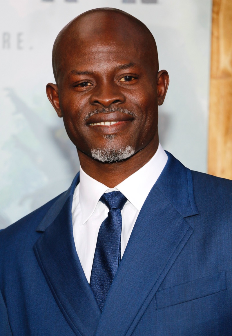 Djimon Hounsou