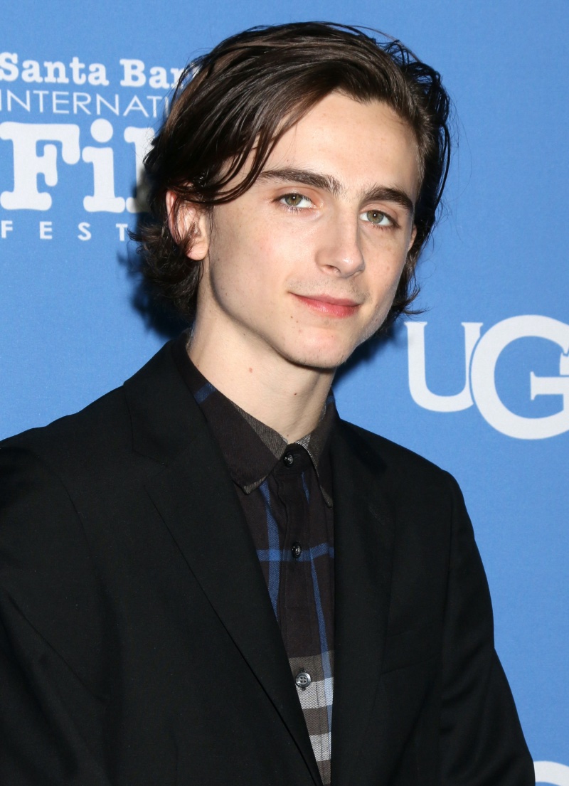Timothée Chalamet straight hair 2018