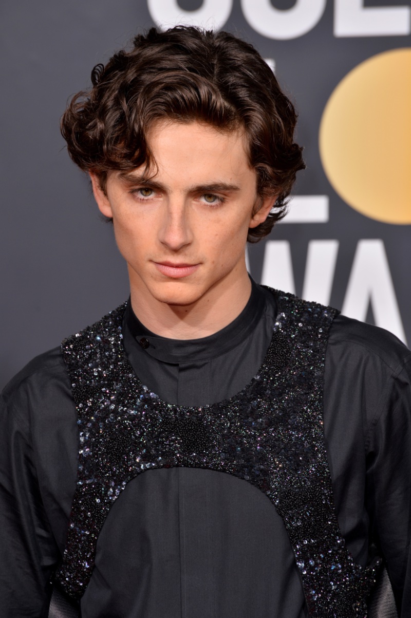 Timothée Chalamet medium haircut 2019