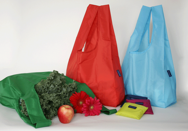 Baggu:Earth Friendly Grocery Bags – The Fashionisto