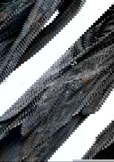noi16