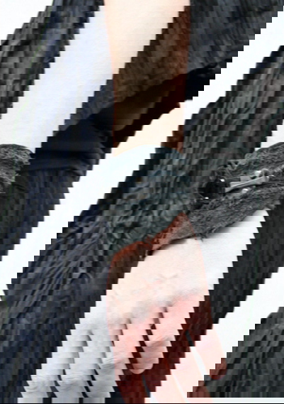noi17