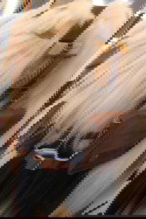CIMG1125