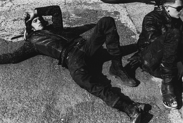 Photo Of The Day Roadkill The Fashionisto 