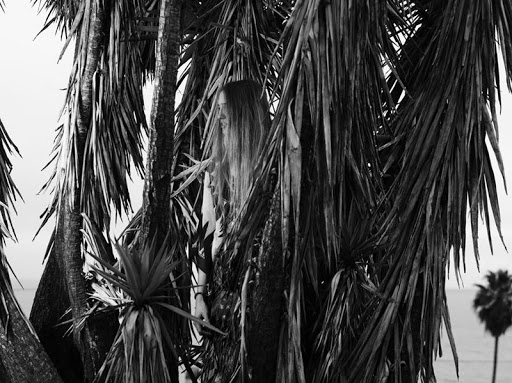 Bradbowersbyhedislimane07