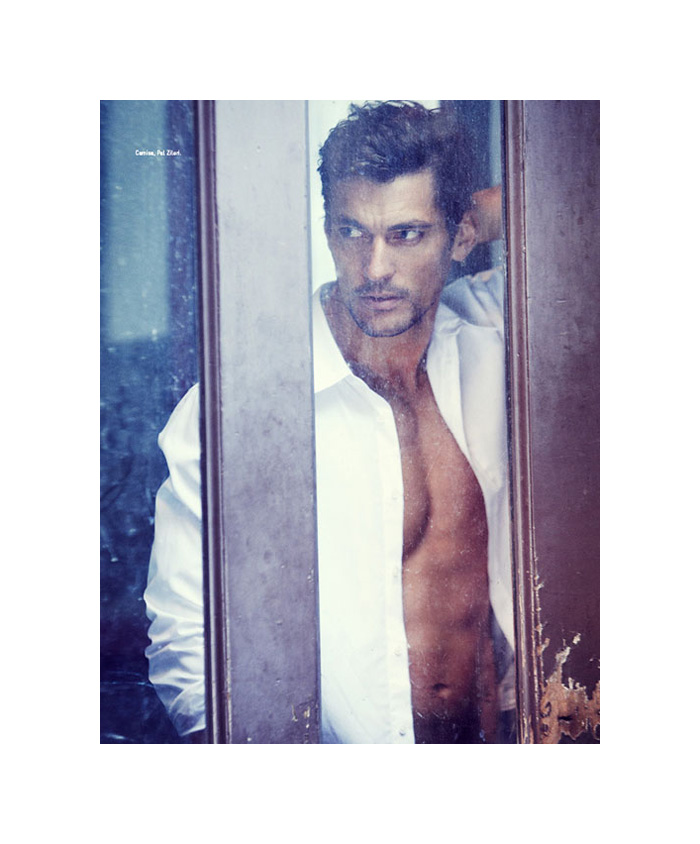 gandy3