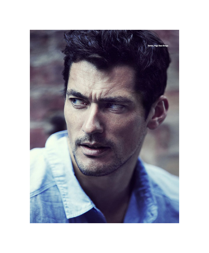 gandy4