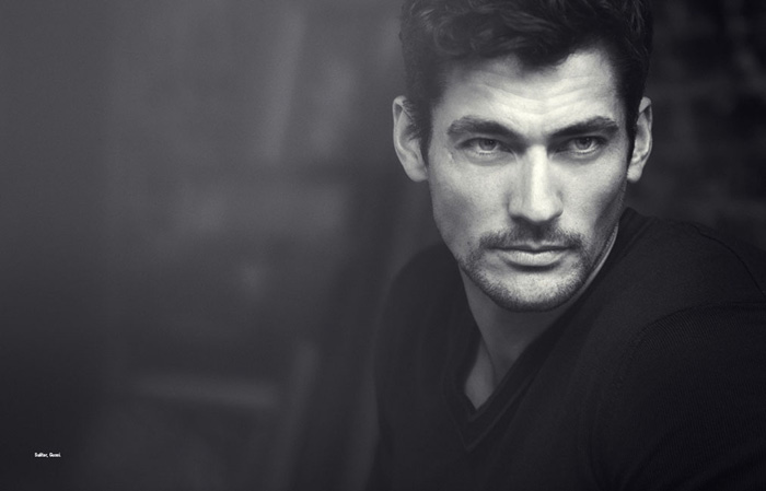 gandy7