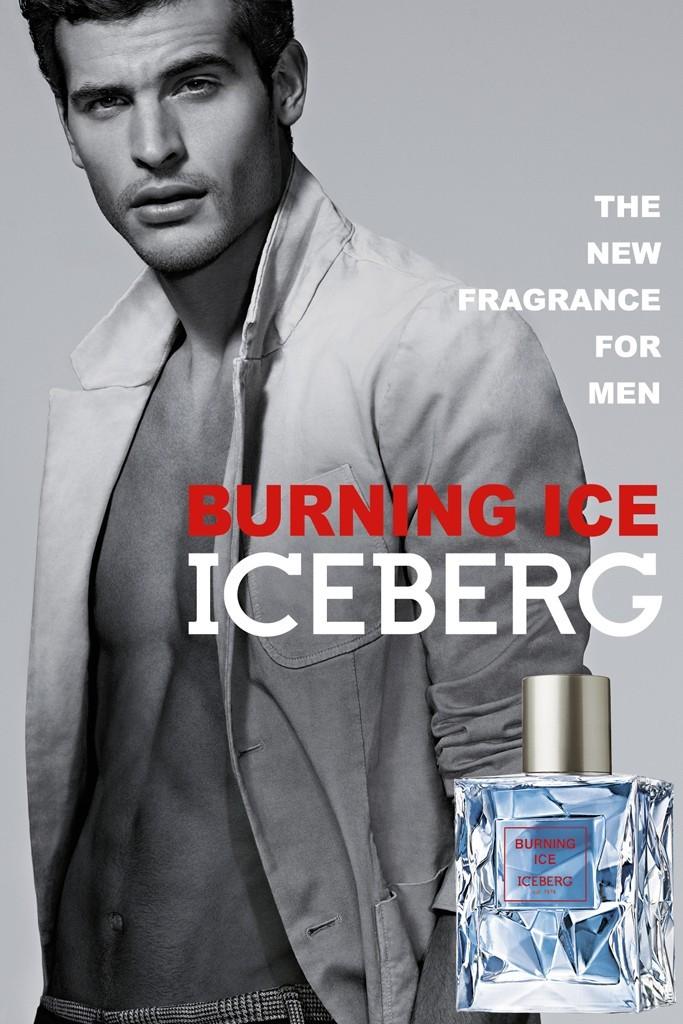 iceberg