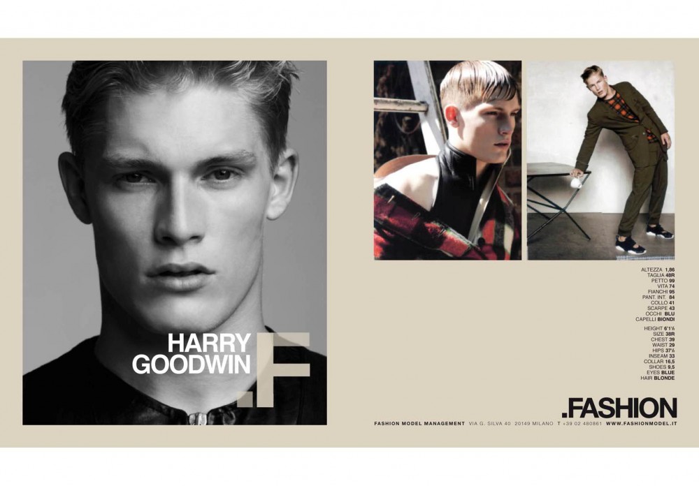 HARRY GOODWIN2