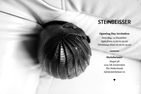 News | Steinbeisser Opening Day Invitation