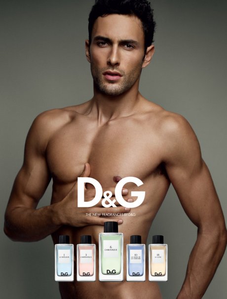 d&g anthology