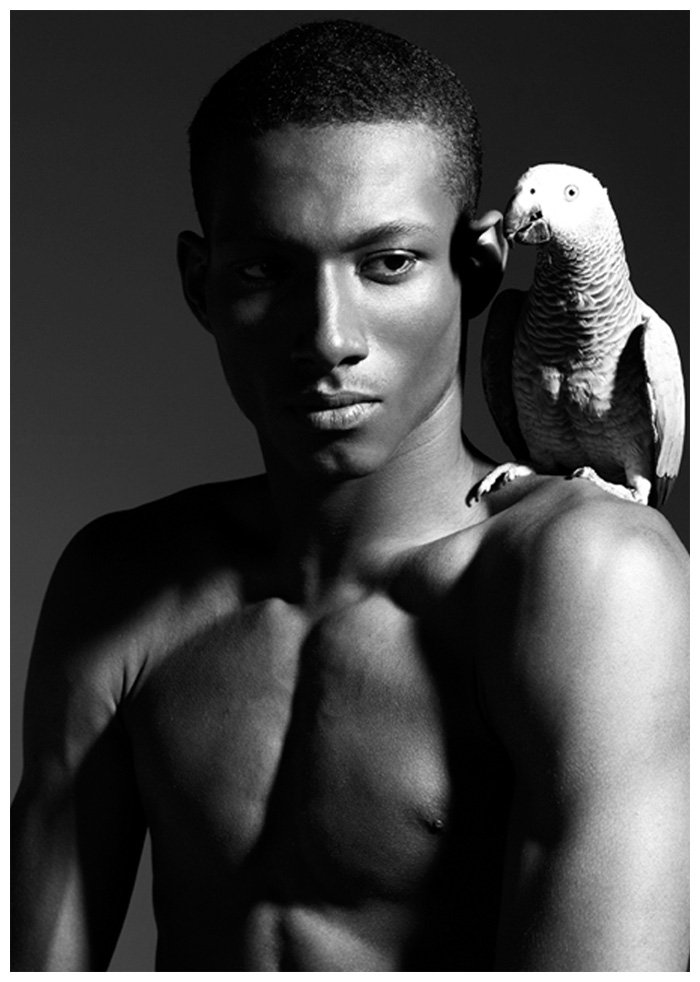Genaro Perez by Steve Regento in Dalliance of Birds
