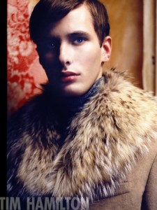 Tim Hamilton Fall 2008 Preview