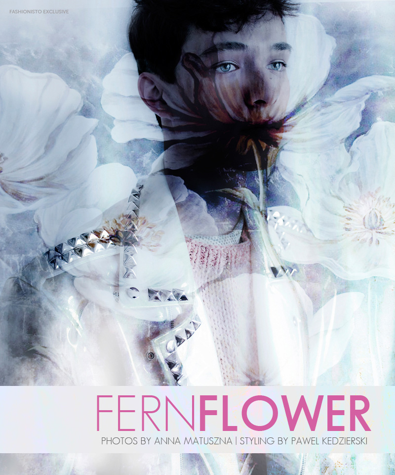 fern flower1