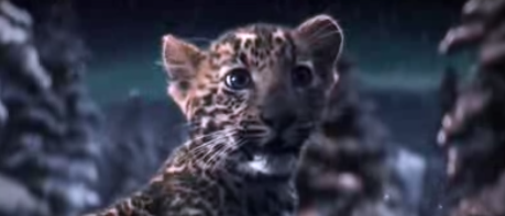 Cartier Presents a Winter Tale