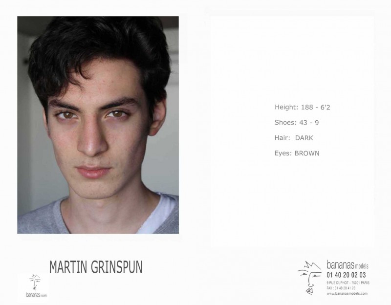 Martin Grinspun