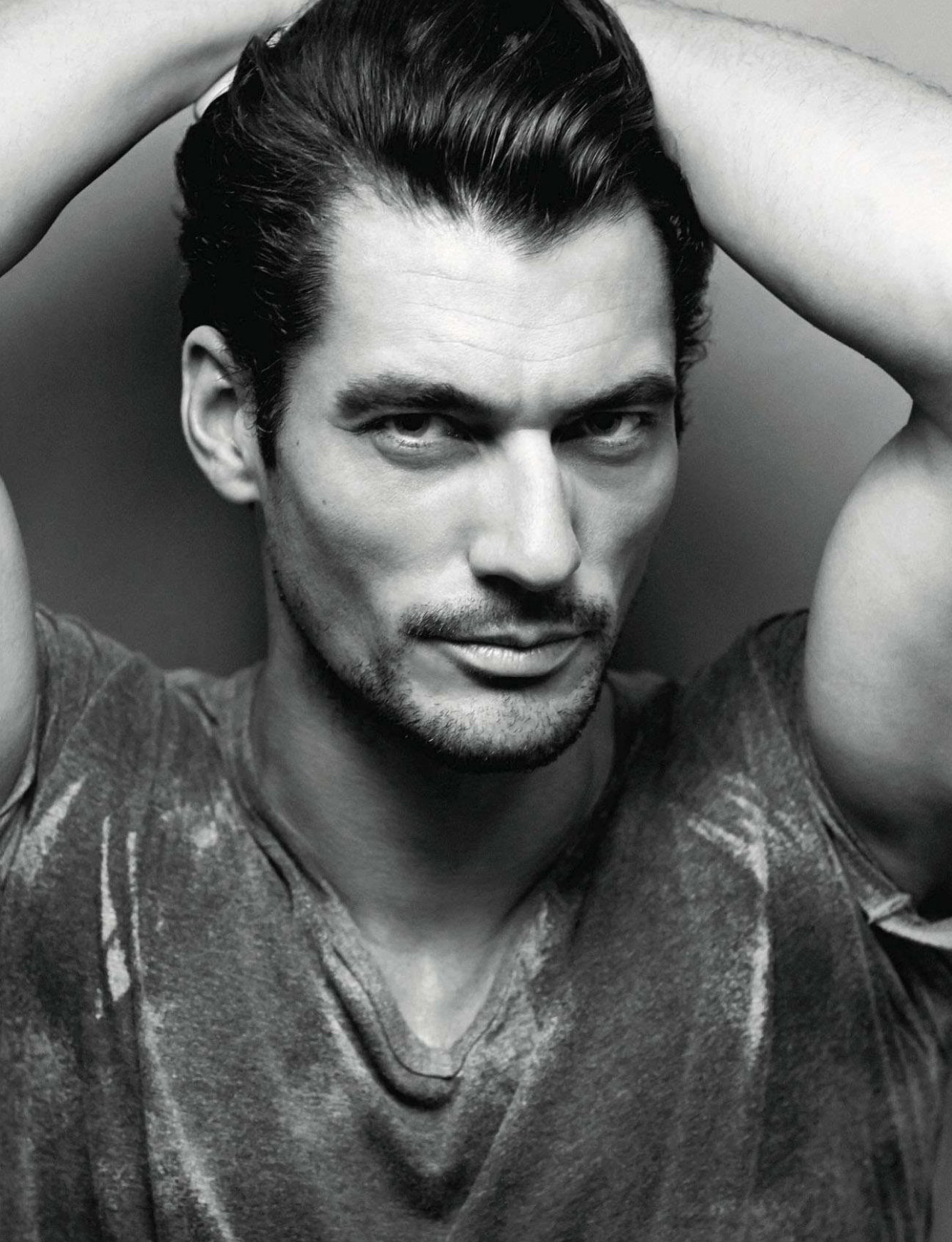 gandy amica01