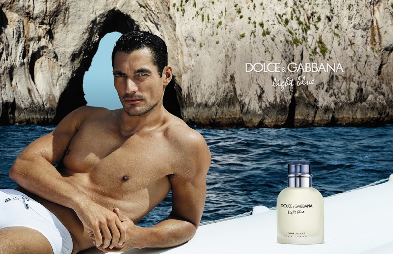 David Gandy stars in a 2013 advertising campaign for Dolce & Gabbana Light Blue. » Dolce & Gabbana's Icon: David Gandy for Light Blue Revisited David Gandy stars in a 2013 advertising campaign for Dolce & Gabbana Light Blue.