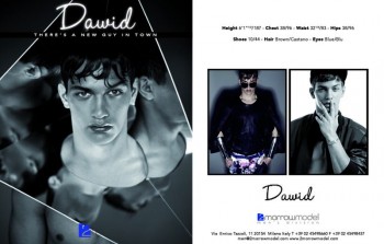 0013 Dawid