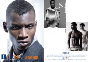 Adonis