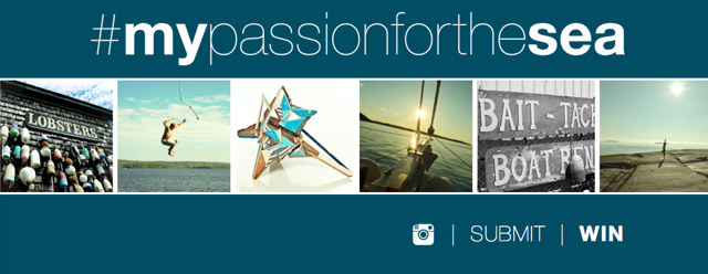 sperry topsider mypassionforthesea banner