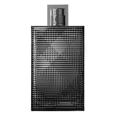 burberry brit rythm