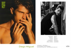 Diego Miguel