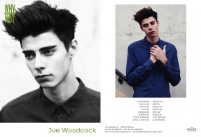 Joe Woodcock