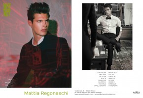 Mattia Regonaschi