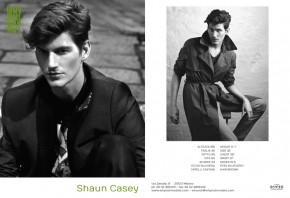 Shaun Casey