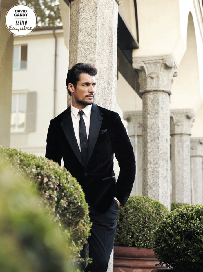 david gandy 0008