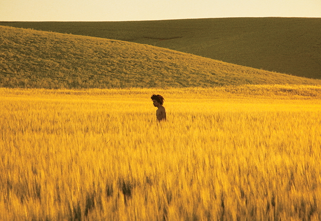 Golden Grassland, 2013 by Ryan McGinley