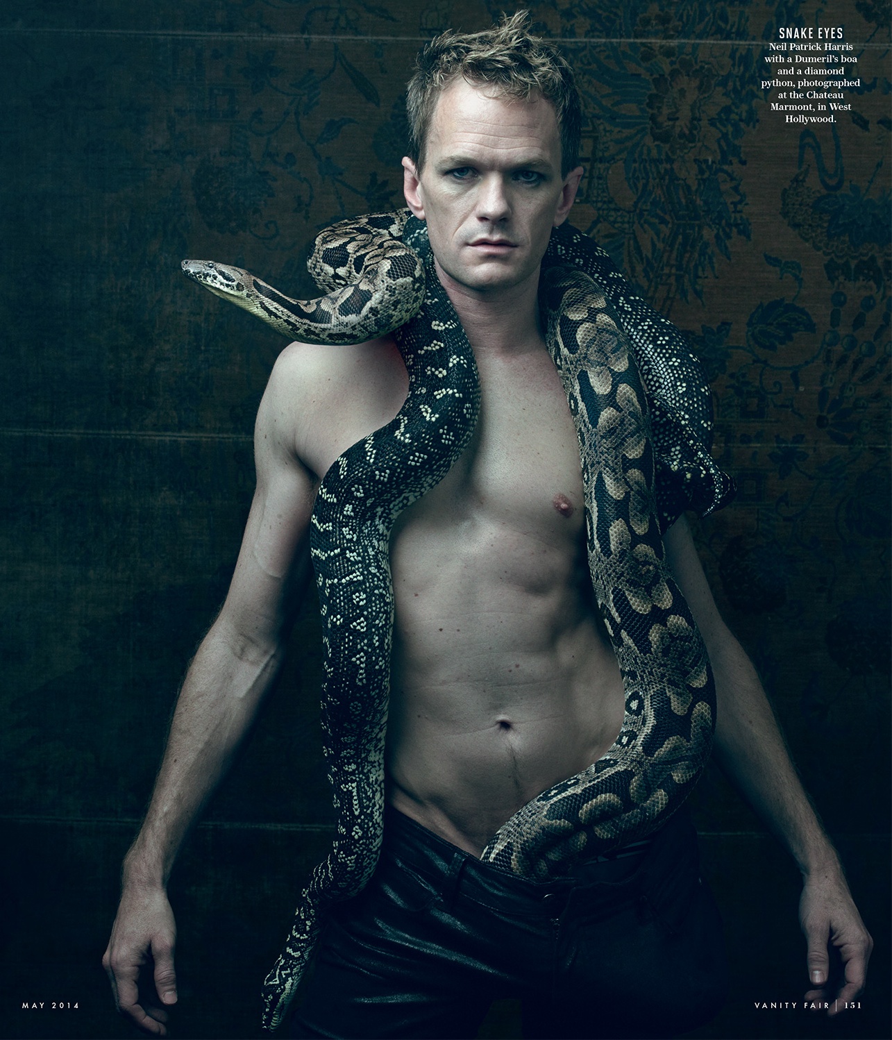 Neil Patrick Harris Poses Shirtless with Boa Snake for Vanity Fair