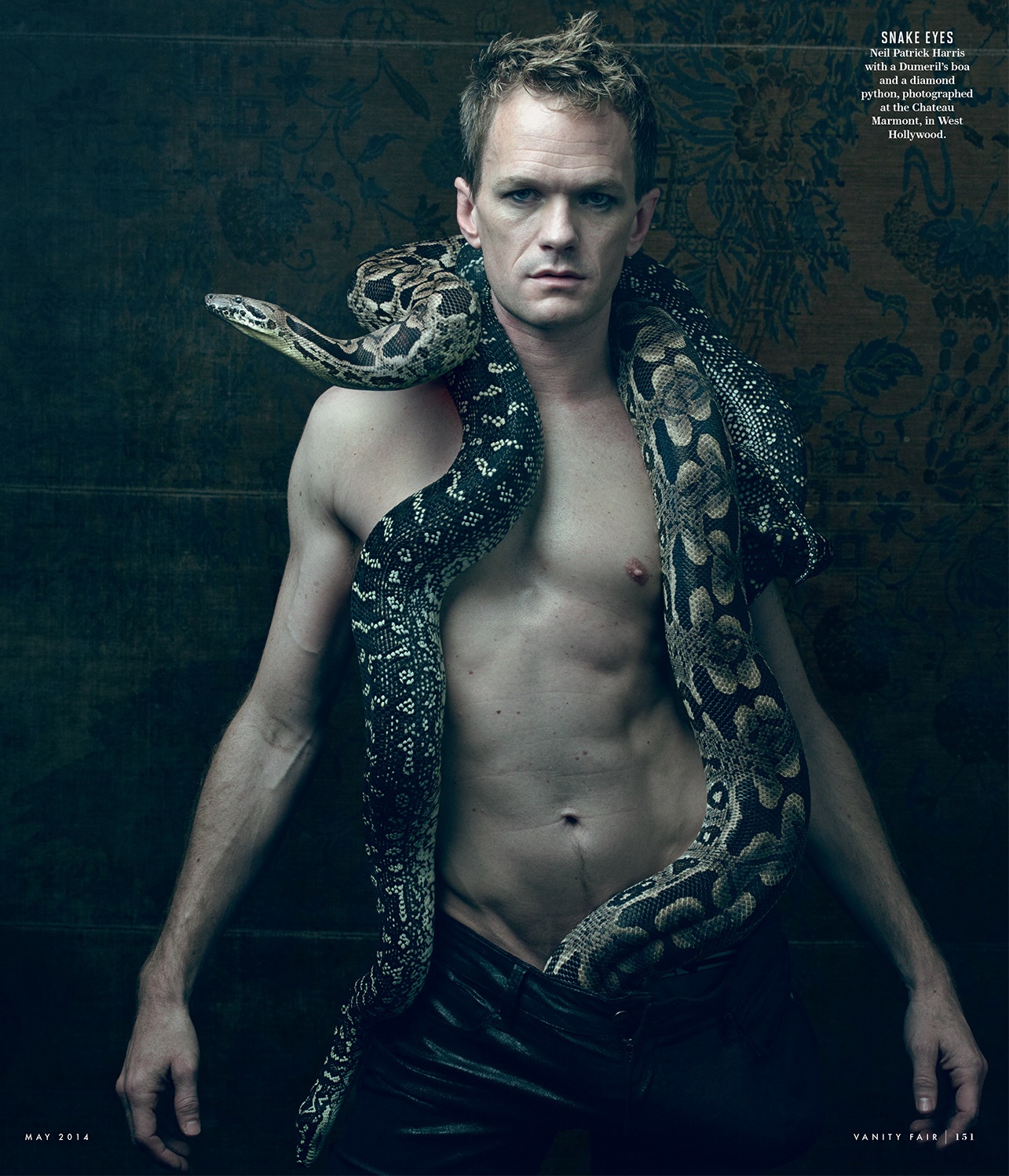 neil patrick harris vanity fair photo