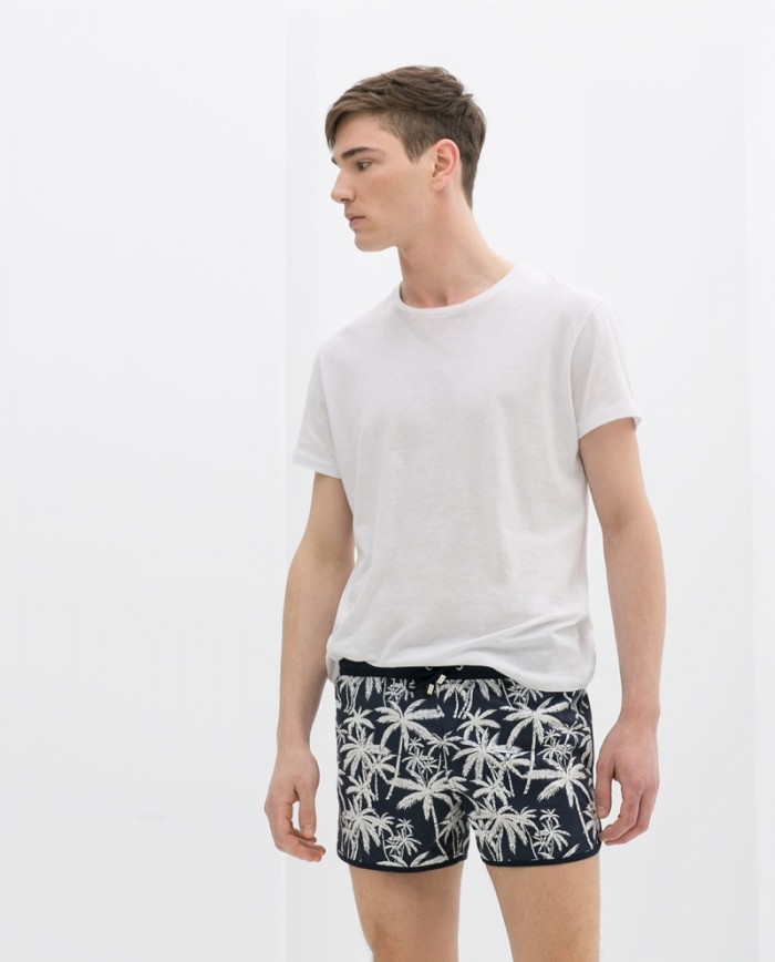 Zara Men's Swim Trunks The Print Edit The Fashionisto