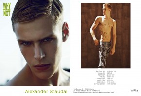 Alexander Staudal