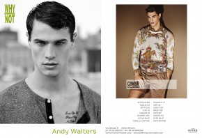 Andy Walters