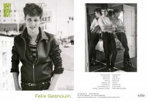 Felix Gesnouin