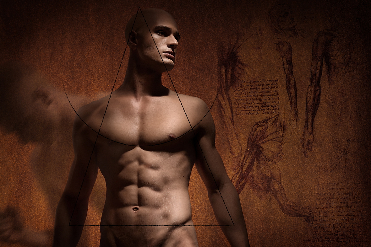 Da Vinci Anatomy: Francesco Brunetti by Alek Pierre