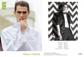 Marc Faiella