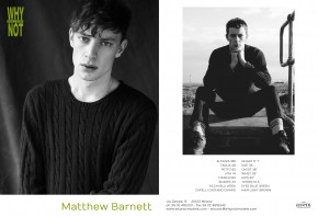 Matthew Barnett