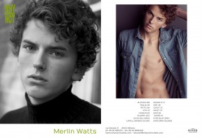 Merlin Watts