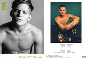 Sebastian Sauve