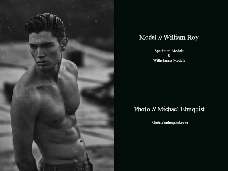 William-Roy-Model-005