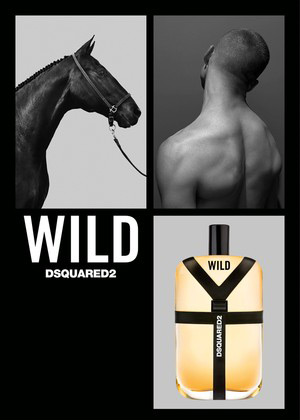Dsquared² Introduces Wild Fragrance