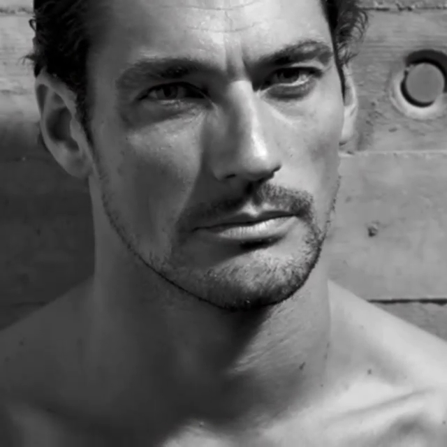 David Gandy