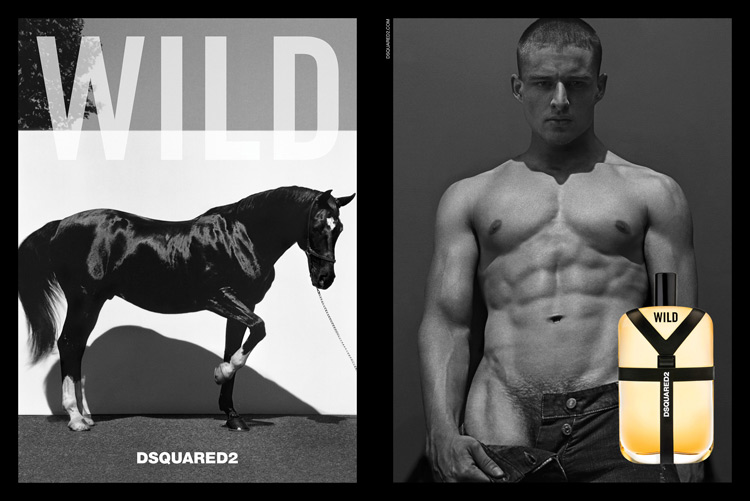 Dsquared2 Wild Fragrance Campaign