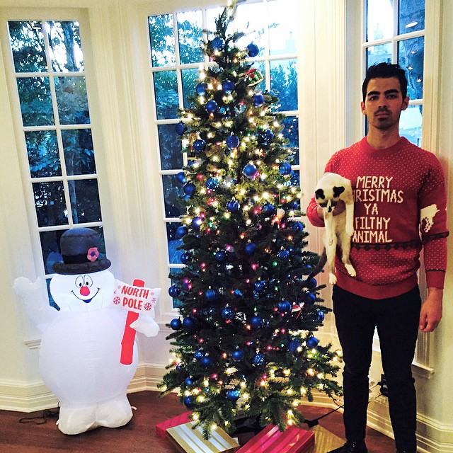 Joe JonasMerry Christmas Ya Filthy Animal Home Along Sweater