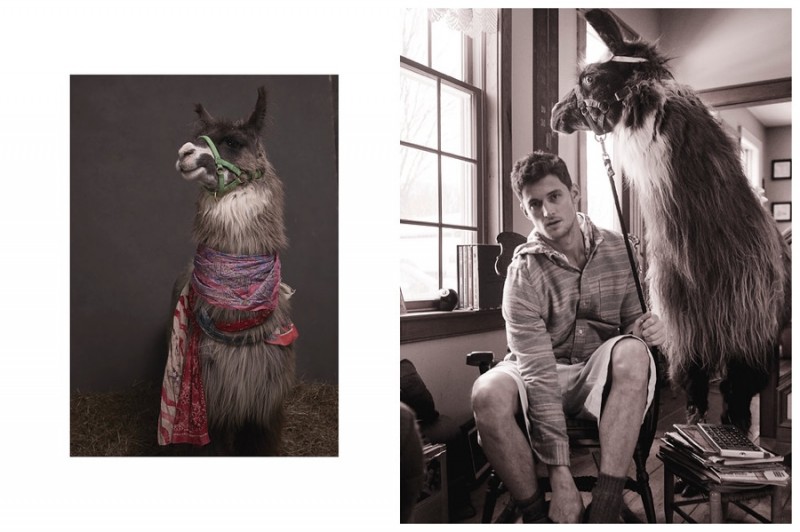 Garrett-Neff-Vogue-Llamas-2015-Shoot-002